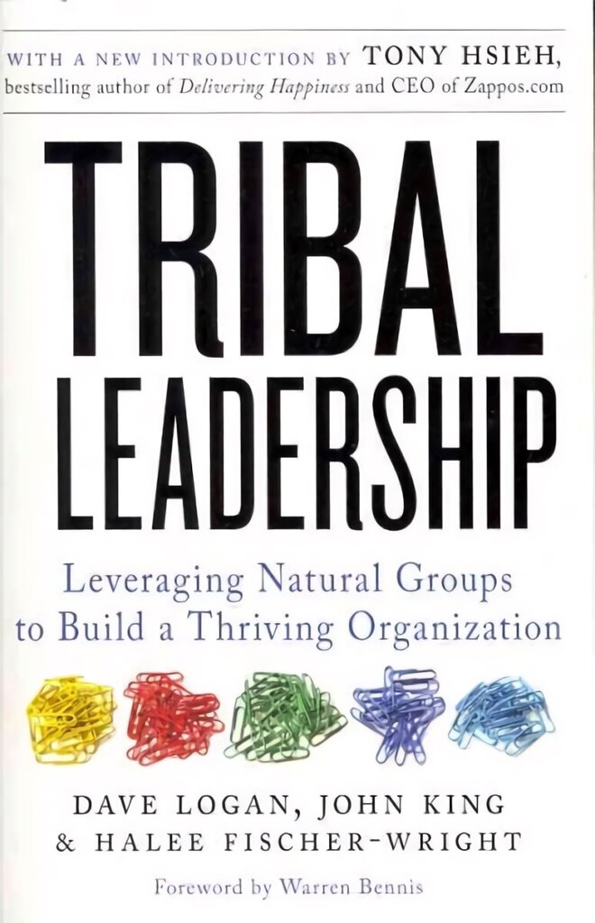 Tribal Leadership: Leveraging Natural Groups to Build a Thriving Organization cena un informācija | Ekonomikas grāmatas | 220.lv