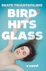 Bird Hits Glass cena un informācija | Fantāzija, fantastikas grāmatas | 220.lv