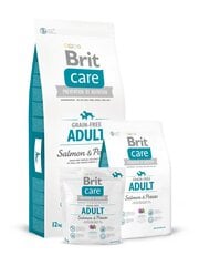Сухой корм для взрослых собак Brit Care Salmon All Breed Salmon & Potato, 3 кг цена и информация |  Сухой корм для собак | 220.lv