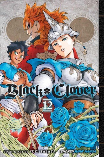 Black Clover, Vol. 12: The Briar Maiden's Melancholy цена и информация | Fantāzija, fantastikas grāmatas | 220.lv