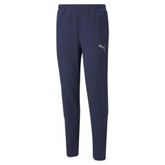 Мужские спортивные штаны Puma Evostripe Pants Peacoat 58942606, синий цена и информация | Мужская спортивная одежда | 220.lv