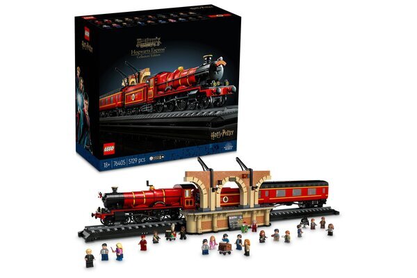 76405 LEGO® Harry Potter Cūkkārpas Ekspresis – kolekcionāra izdevums цена и информация | Konstruktori | 220.lv