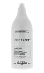 L'Oreal Paris Expert Silver šampūns 250 ml цена и информация | Шампуни | 220.lv