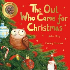 Owl Who Came for Christmas cena un informācija | Grāmatas mazuļiem | 220.lv