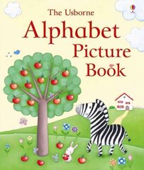 Alphabet Picture Book цена и информация | Книги для малышей | 220.lv