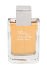 Tualetes ūdens Jaguar Excellence edt 100 ml cena un informācija | Vīriešu smaržas | 220.lv