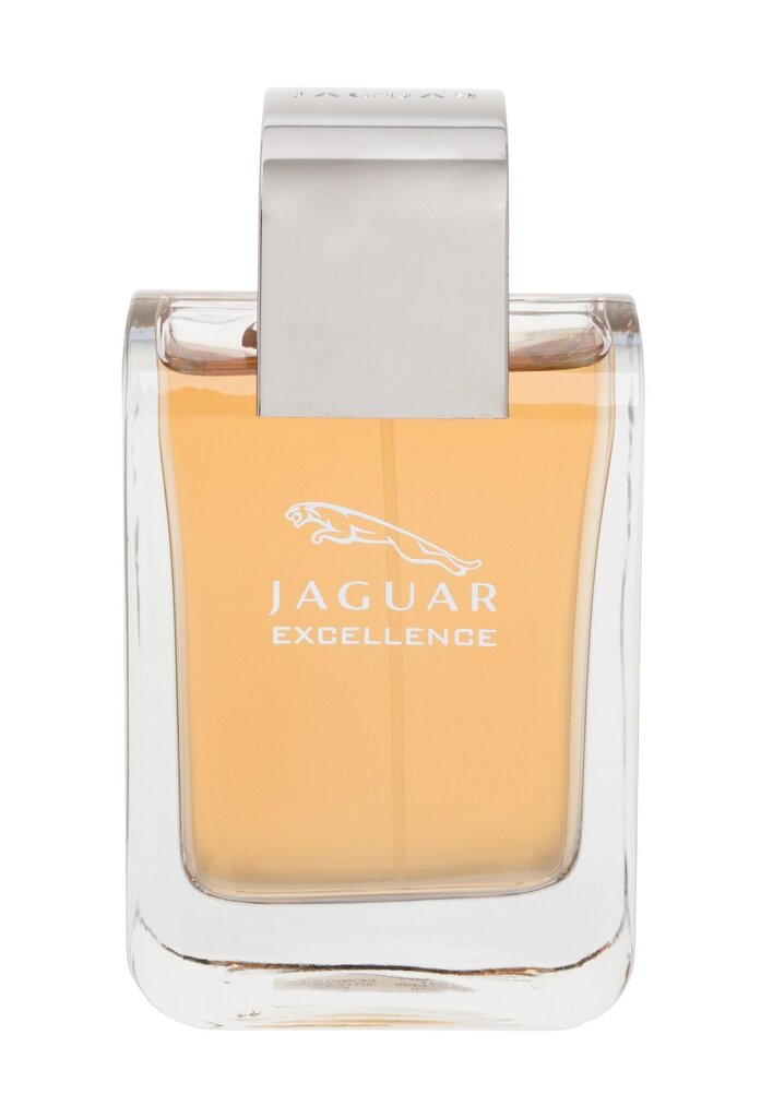 Tualetes ūdens Jaguar Excellence edt 100 ml cena un informācija | Vīriešu smaržas | 220.lv