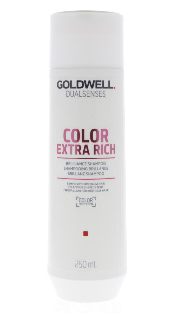 Šampūns krāsotiem matiem Goldwell Dualsenses Color Extra Rich, 250 ml цена и информация | Šampūni | 220.lv