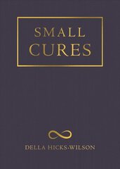 Small Cures cena un informācija | Dzeja | 220.lv