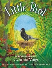 Little Bird цена и информация | Книги для подростков  | 220.lv