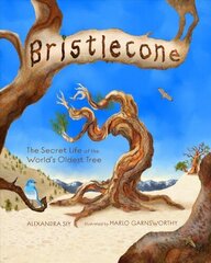 Bristlecone: The Secret Life of the World's Oldest Tree: The Secret Life of the World's Oldest Tree cena un informācija | Grāmatas pusaudžiem un jauniešiem | 220.lv