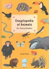 Encyclopedia of Animals for Young Readers: for Young Readers цена и информация | Книги для подростков и молодежи | 220.lv