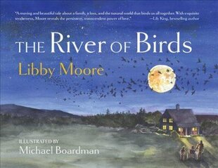 River of Birds цена и информация | Книги для подростков  | 220.lv