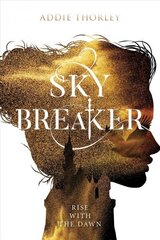 Sky Breaker cena un informācija | Grāmatas pusaudžiem un jauniešiem | 220.lv