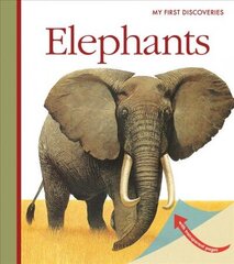 Elephants цена и информация | Книги для подростков  | 220.lv