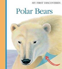 Polar Bears цена и информация | Книги для подростков и молодежи | 220.lv