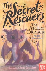 Secret Rescuers: The Storm Dragon: The Storm Dragon цена и информация | Книги для подростков и молодежи | 220.lv