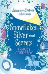 Snowflakes, Silver and Secrets цена и информация | Книги для подростков и молодежи | 220.lv