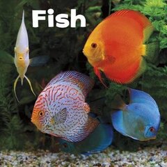 Fish цена и информация | Книги для подростков  | 220.lv