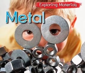 Metal цена и информация | Книги для подростков  | 220.lv