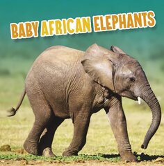 Baby African Elephants cena un informācija | Grāmatas pusaudžiem un jauniešiem | 220.lv