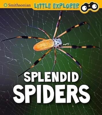 Splendid Spiders цена и информация | Grāmatas pusaudžiem un jauniešiem | 220.lv