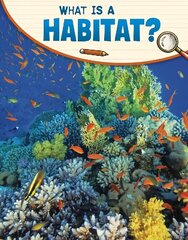 What Is a Habitat? цена и информация | Книги для подростков и молодежи | 220.lv