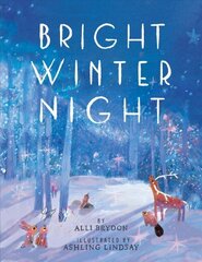 Bright Winter Night cena un informācija | Grāmatas pusaudžiem un jauniešiem | 220.lv