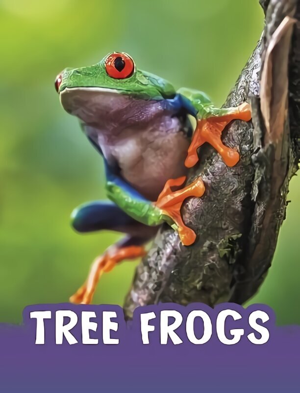 Tree Frogs цена и информация | Grāmatas pusaudžiem un jauniešiem | 220.lv