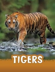 Tigers цена и информация | Книги для подростков  | 220.lv