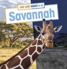 Day and Night in the Savannah cena un informācija | Grāmatas pusaudžiem un jauniešiem | 220.lv