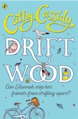 Driftwood цена и информация | Книги для подростков и молодежи | 220.lv