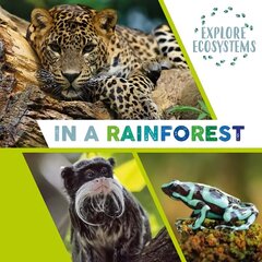 Explore Ecosystems: In a Rainforest Illustrated edition cena un informācija | Grāmatas pusaudžiem un jauniešiem | 220.lv