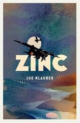 Zinc цена и информация | Книги для подростков  | 220.lv