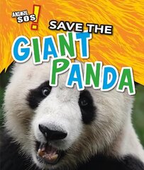 Save the Giant Panda cena un informācija | Grāmatas pusaudžiem un jauniešiem | 220.lv