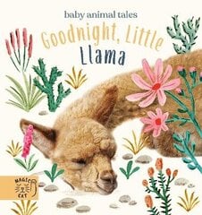 Goodnight, Little Llama: A book about being a good friend цена и информация | Книги для подростков и молодежи | 220.lv