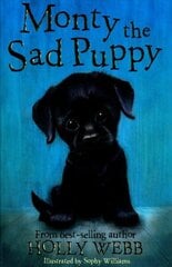 Monty the Sad Puppy cena un informācija | Grāmatas pusaudžiem un jauniešiem | 220.lv