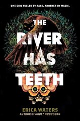 River Has Teeth цена и информация | Книги для подростков и молодежи | 220.lv