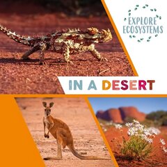 Explore Ecosystems: In a Desert Illustrated edition цена и информация | Книги для подростков и молодежи | 220.lv