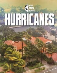 Hurricanes цена и информация | Книги для подростков и молодежи | 220.lv