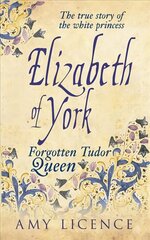Elizabeth of York: The Forgotten Tudor Queen цена и информация | Биографии, автобиографии, мемуары | 220.lv