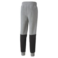 Sporta bikses vīriešiem Puma BMW MMS Sweatpants CC Medium Gray 53118803, pelēkas cena un informācija | Sporta apģērbs vīriešiem | 220.lv