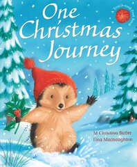 One Christmas Journey цена и информация | Книги для самых маленьких | 220.lv