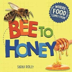 Where Food Comes From: Bee to Honey цена и информация | Книги для подростков и молодежи | 220.lv