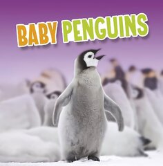 Baby Penguins cena un informācija | Grāmatas pusaudžiem un jauniešiem | 220.lv