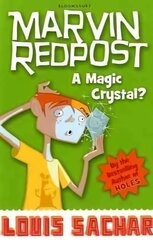 Magic Crystal?: Book 8 - Rejacketed цена и информация | Книги для подростков и молодежи | 220.lv