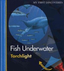 Fish Underwater цена и информация | Книги для подростков и молодежи | 220.lv