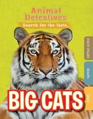 Big Cats цена и информация | Книги для подростков  | 220.lv