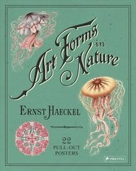 Ernst Haeckel: Art Forms in Nature: 22 Pull-Out Posters: 22 Pull-Out Posters cena un informācija | Mākslas grāmatas | 220.lv