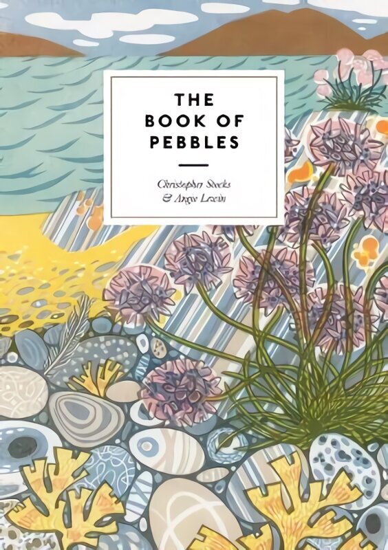 Book of Pebbles: The perfect seaside and armchair companion to the pebbles of the British Isles цена и информация | Mākslas grāmatas | 220.lv